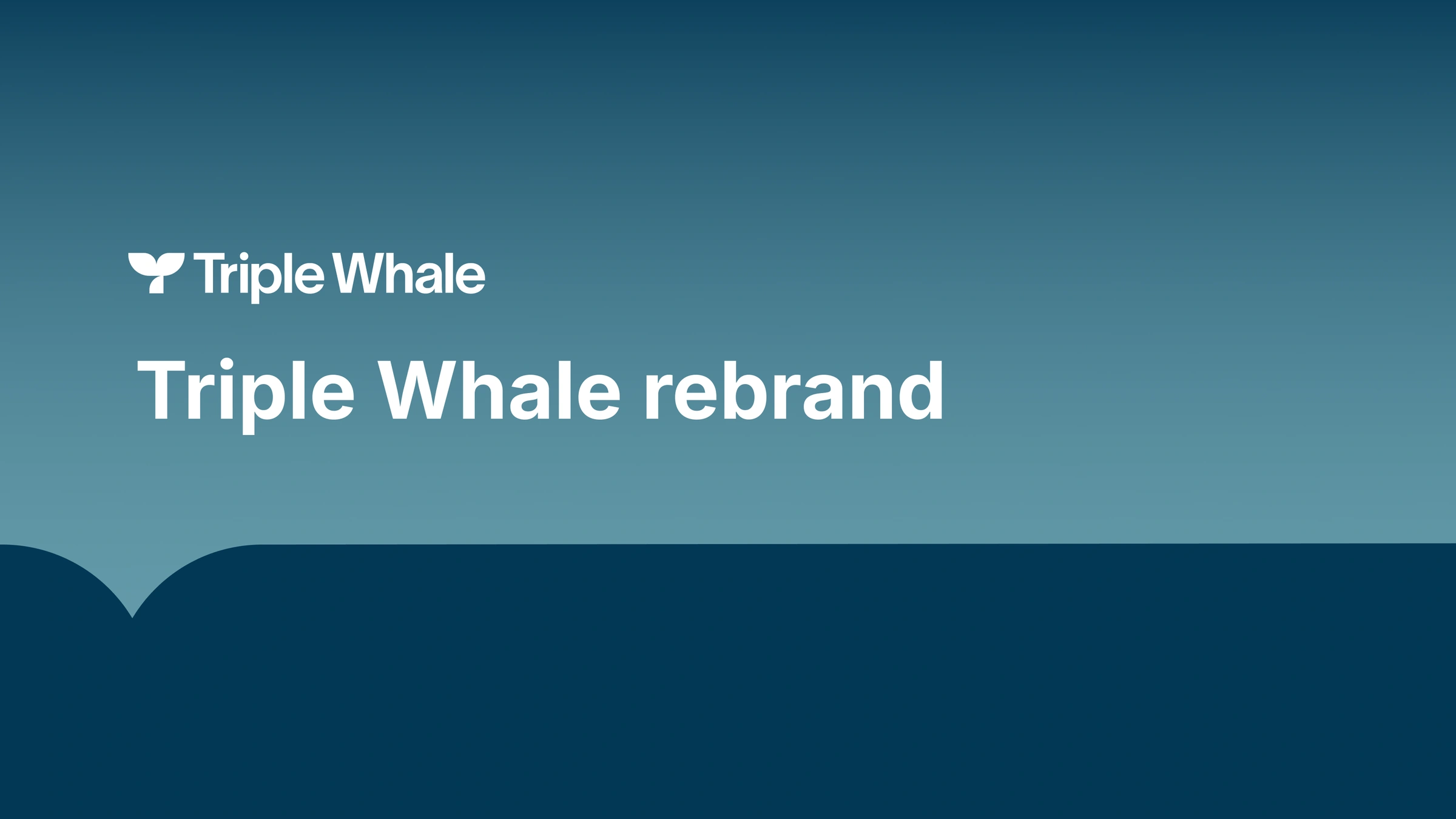 Triple Whale Rebrands Away From the Dashboard