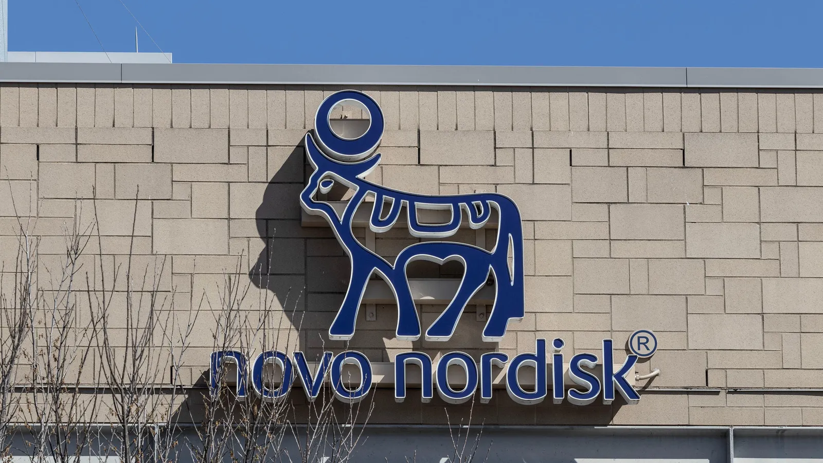 Novo Nordisk Pays Up to $2.6 Billion for a Pill That Has Never Been in a Patient